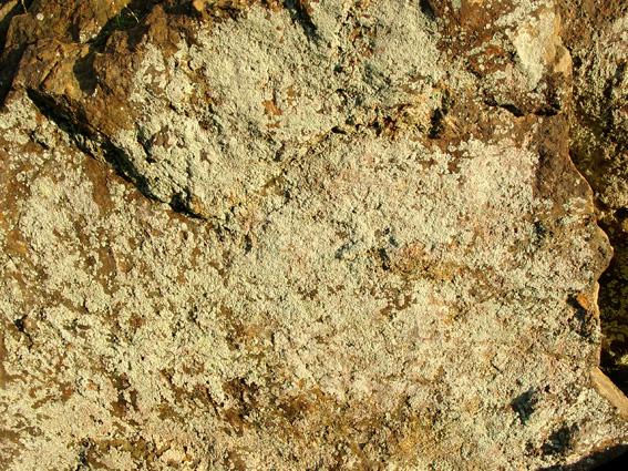 Rock with lichen