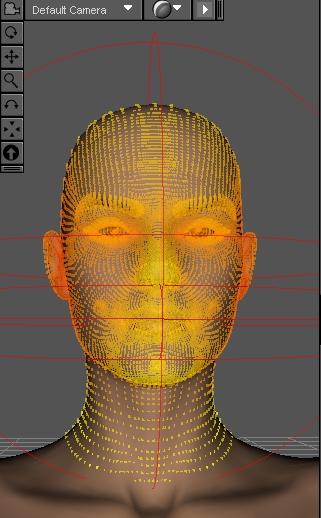 Character creation using the Daz D-form tool