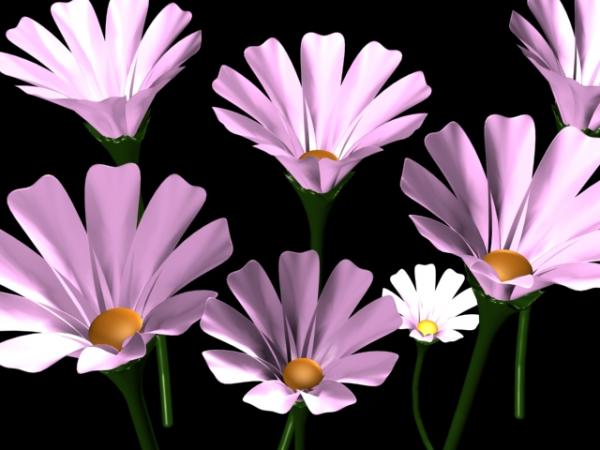 Flower Asha low poly 3ds max