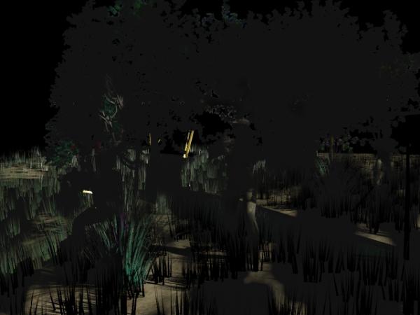 Unknown Dark Forest