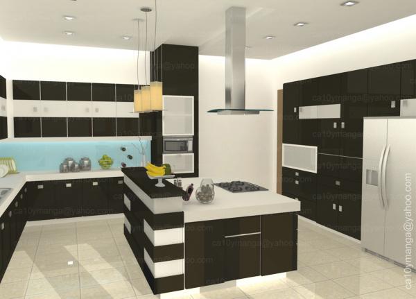 Black and white kitchen