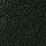 Alpine Green Leather