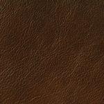 Brown Sugar Leather