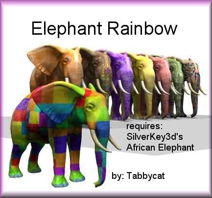 Elephant Rainbow