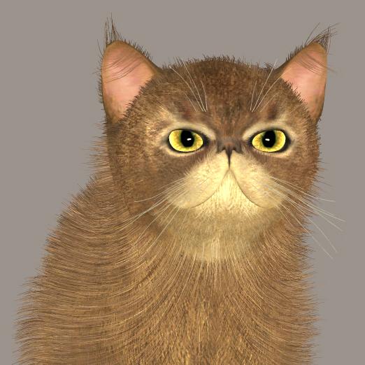 Persian face - Head morph for Millenium Cat Milcat