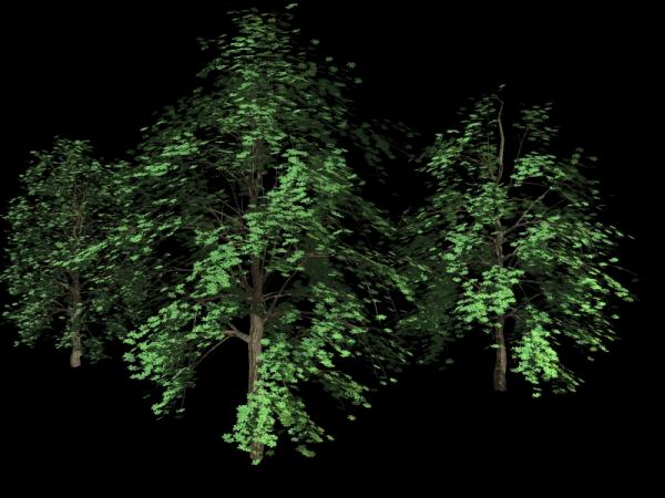 High-poly trees