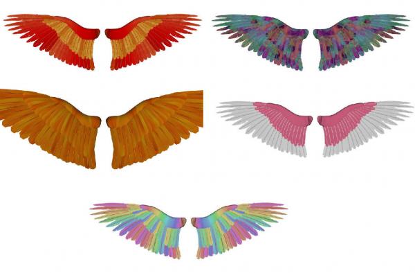 Five Textures for The Feathered Wings