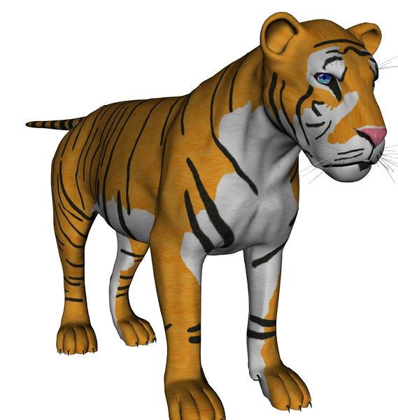 tiger for mil big cat