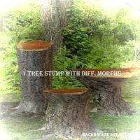 1 Treestump with morphs