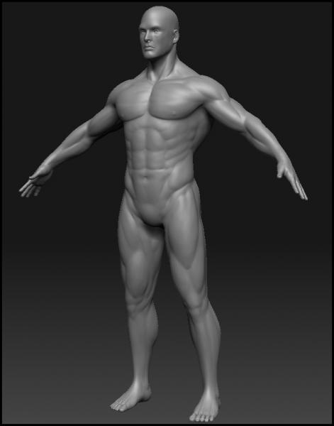 Human Male Athletic Final Model (Free Download!!!)