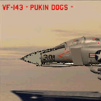 F4 Phantom VF-143 "PUKIN DOGS"