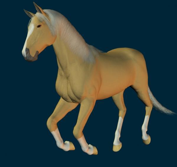 palomino for mil horse