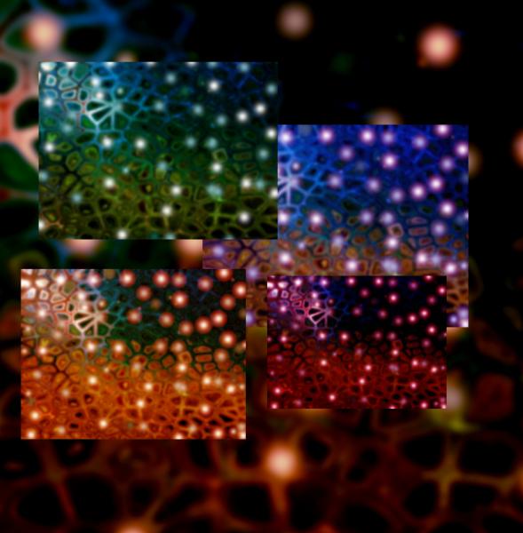 Bog Lights Backgrounds