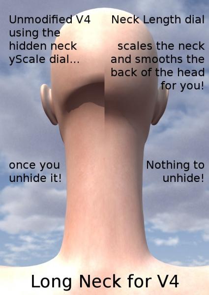 Long Neck for V4