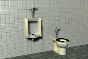 Public Toilet & Urinal