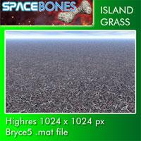 Island Grass
