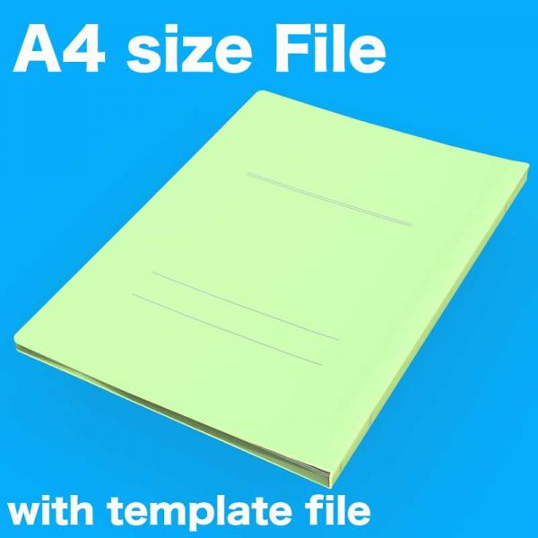 A4size File