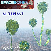 Alien Plant