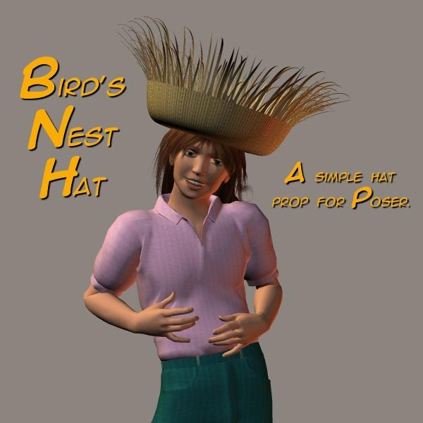 Bird's Nest Hat