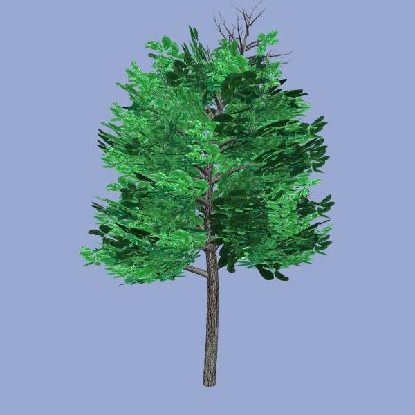 3d-tree-03
