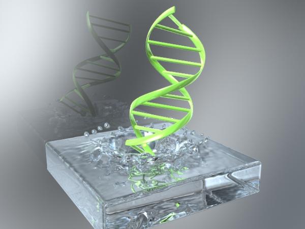 DNA