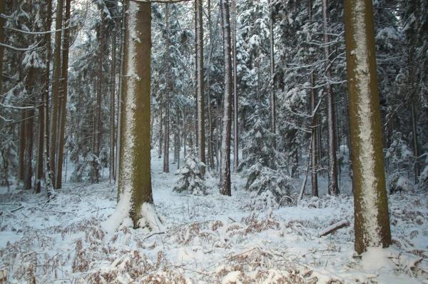 11 Austria-Winter-Backgrounds-1