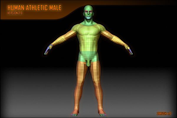 Human Male Athletic Version 2 Base Geometry