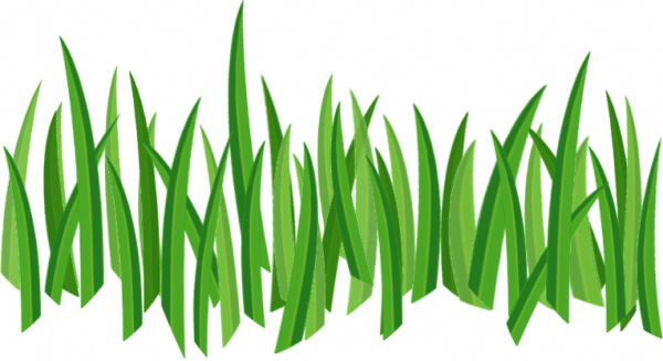 Grass .png for tubes