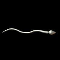 Posable Sperm Cell