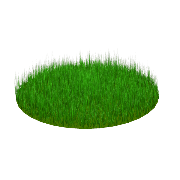 Grass-prop hair