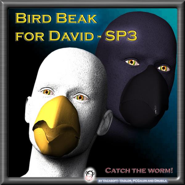 Bird Beak for David-SP3