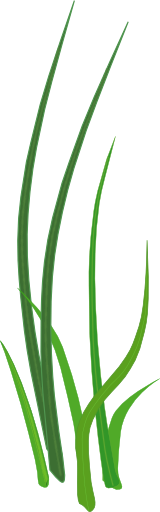 Grass .png for tubes
