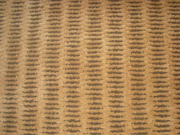 Tiger Carpet
