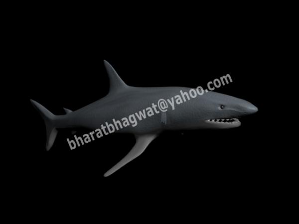 Shark Model in 3DS Max 2010