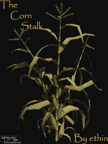 The Corn Stalk For DAZStudio