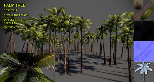 Palm tree v2