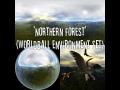 Northern Forest WorldBall Environment Set