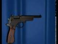 Steyr-Mannlicher M1905 Pistol
