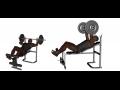 Musculation bench / banc de musculation