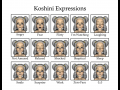 Koshini Expressions