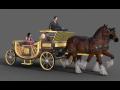 Horse drawn carriage 21