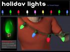 Holiday Lights