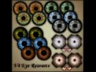 V4 Eyes Resource