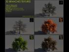 Branches textures pack 04