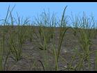 Grass models