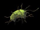 Bacterium Project Spiny Slug