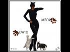 Meow !!! Meow !!!