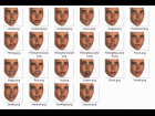 Icons for Genesis Evolution Expression Morphs