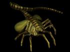 Facehugger Gold