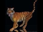 Species for Mil Big Cat